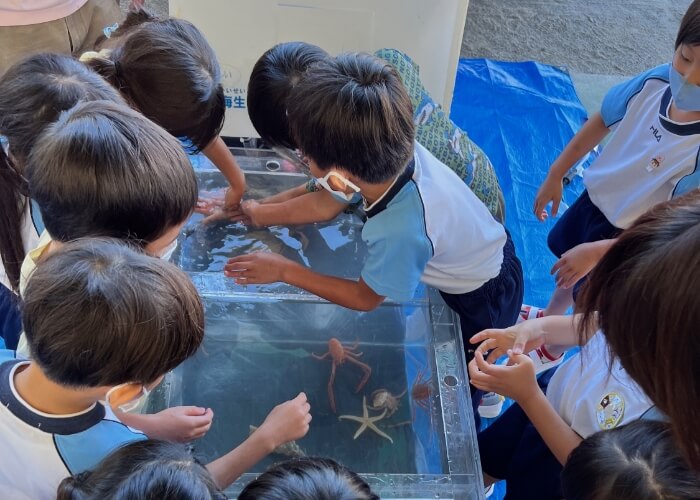 タッチング水槽で魚を触る子供たち