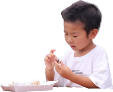 オオグソクムシを食べる子供